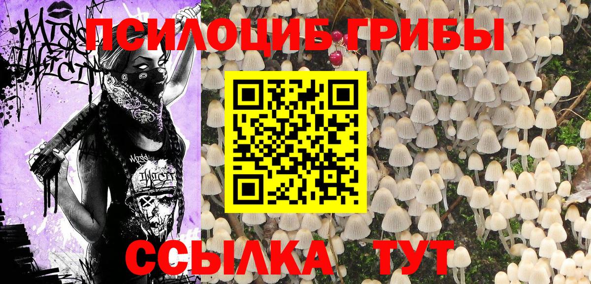 магазин продажи наркотиков  Псилоцибиновые грибы мицелий  Вход с VPN  Лениногорск 