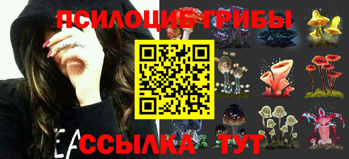 Галлюциногенные грибы Cubensis Лениногорск